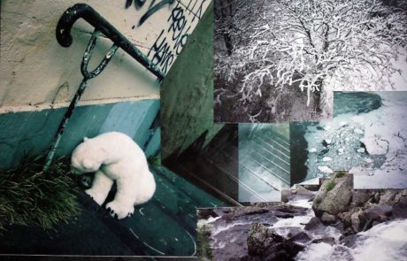Impasse de l'ours - EmPinsan - collage