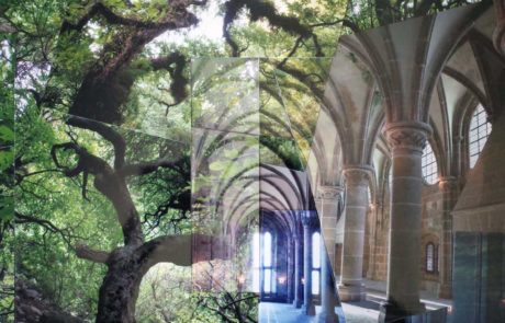 voute-forestiere-v2-empinsan-collage-photo