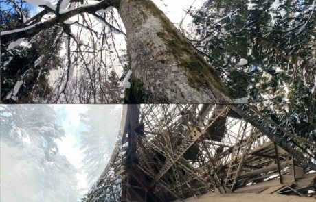 biosphere-collage-photo-empinsan